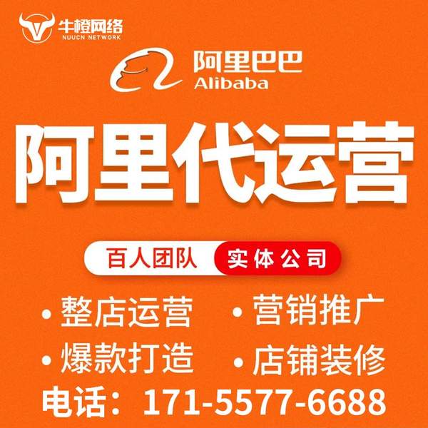 阿拉善盟电商代运营