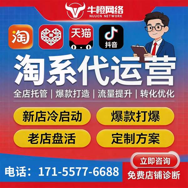 阿拉善盟电商代运营