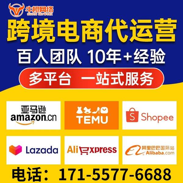 阿拉善盟电商代运营