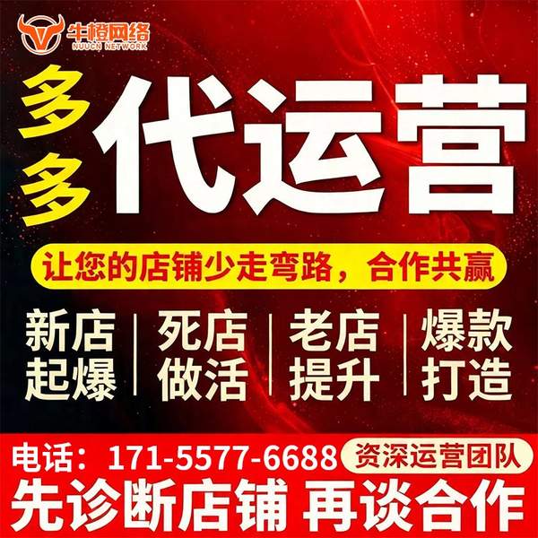 阿拉善盟电商代运营