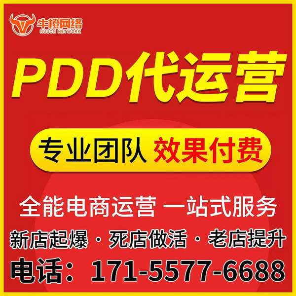 阿拉善盟电商代运营