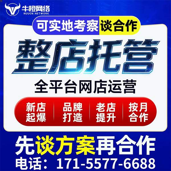 阿拉善盟电商代运营