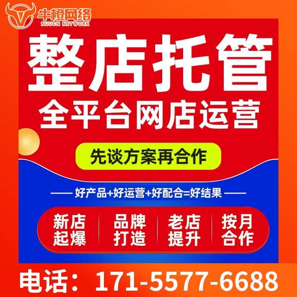 阿拉善盟电商代运营