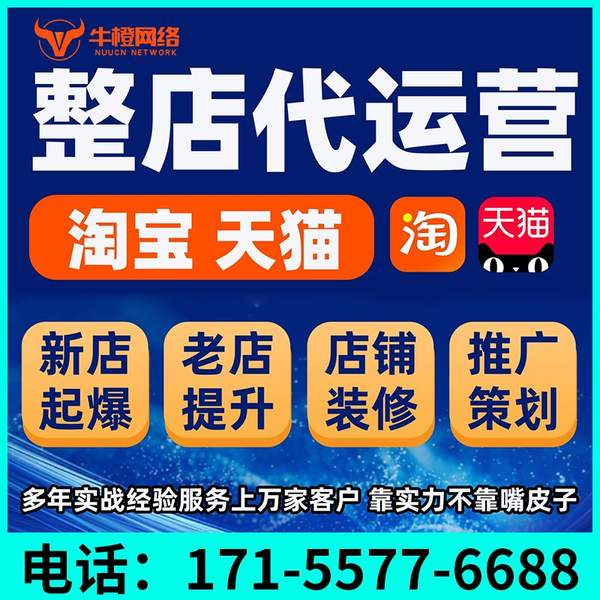 阿拉善盟电商代运营