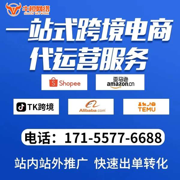 阿拉善盟电商代运营