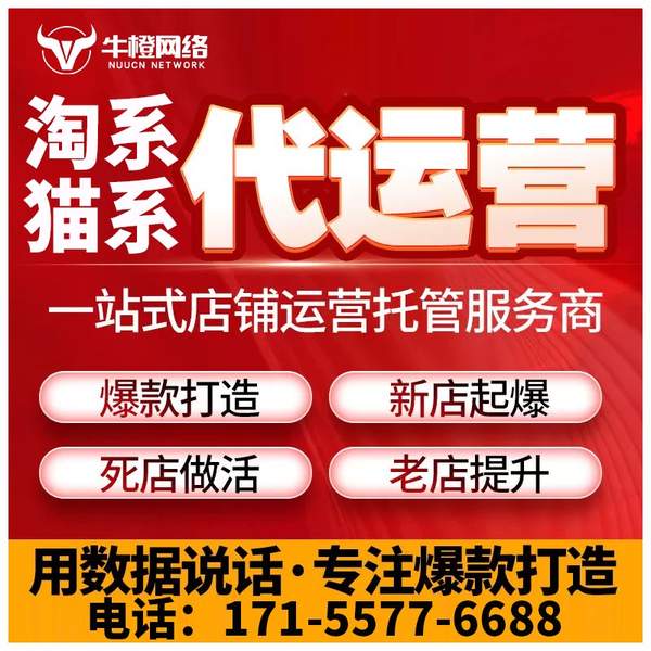 阿拉善盟电商代运营